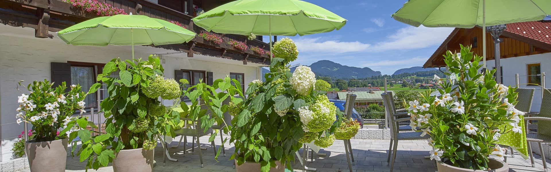 Pension Berganemone